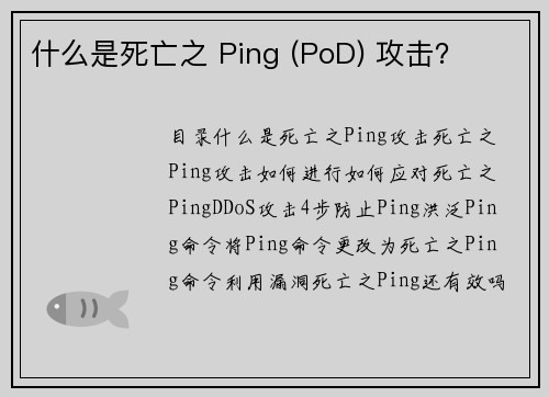 什么是死亡之 Ping (PoD) 攻击？